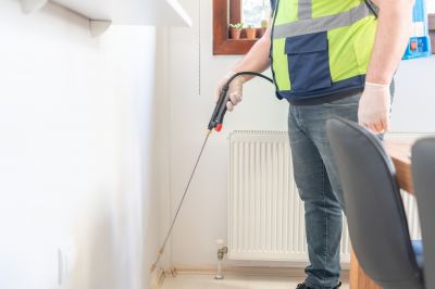 Ants Extermination Service in New Braunfels, TX