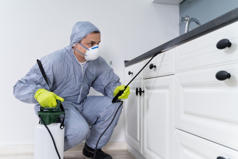 Insect Control Service in Frisco, TX