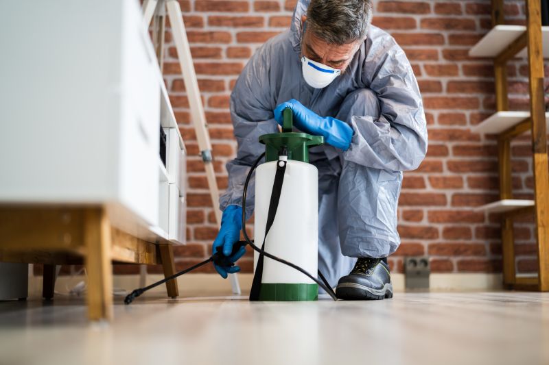 Pest Extermination Service in Frisco, TX