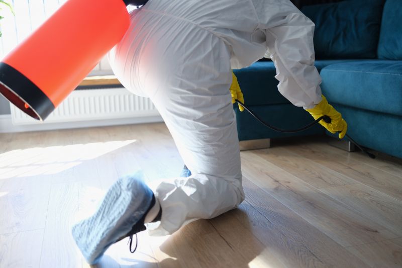 Silverfish Extermination in Katy, TX