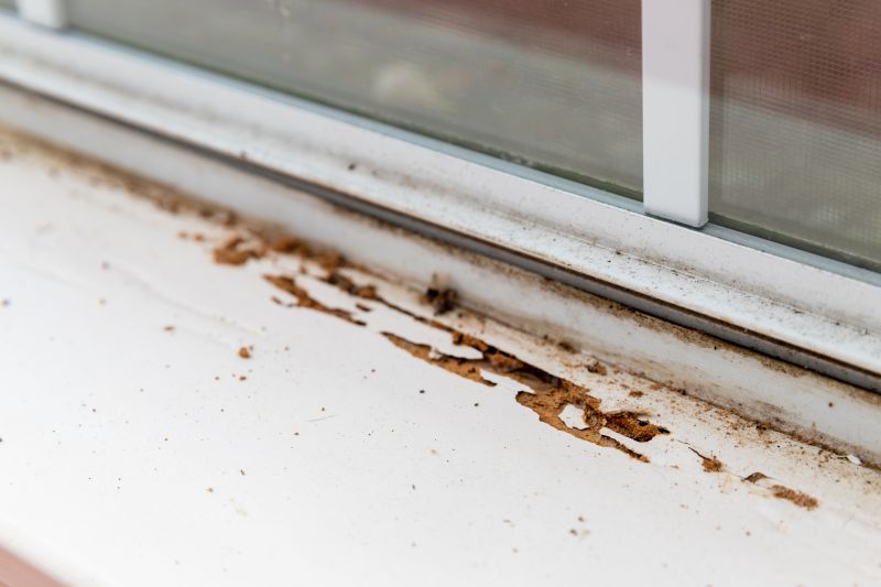 Wdo Inspection Service in Frisco, TX